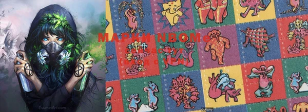 гидропоника Инта