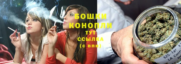 гидропоника Инта