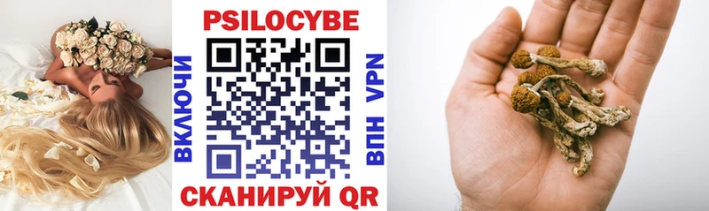 Псилоцибиновые грибы Cubensis  Купить закладки  Гудермес 