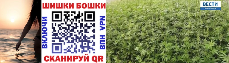 Купить закладки  Гудермес  Бошки Шишки VHQ 